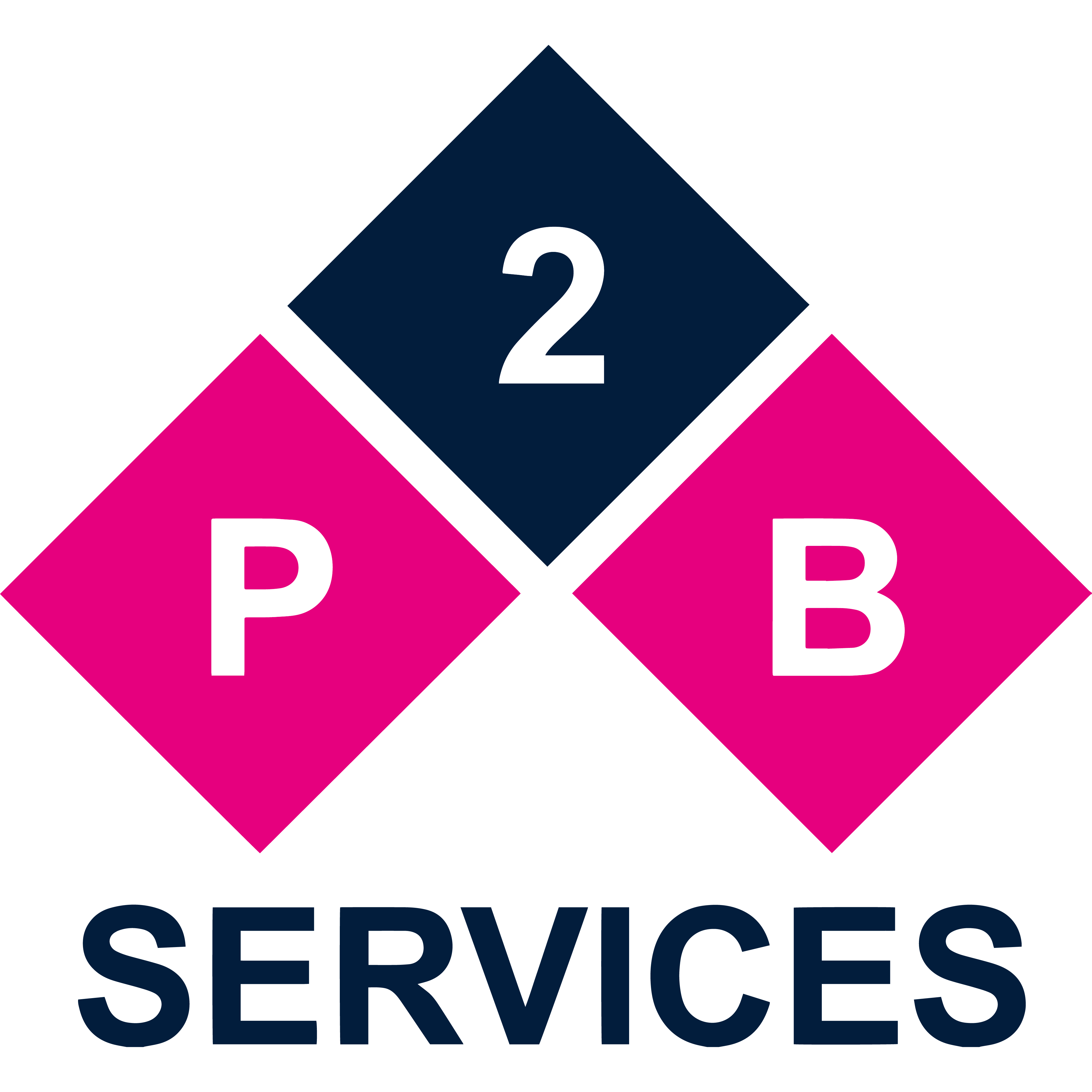 P2B E-Kart